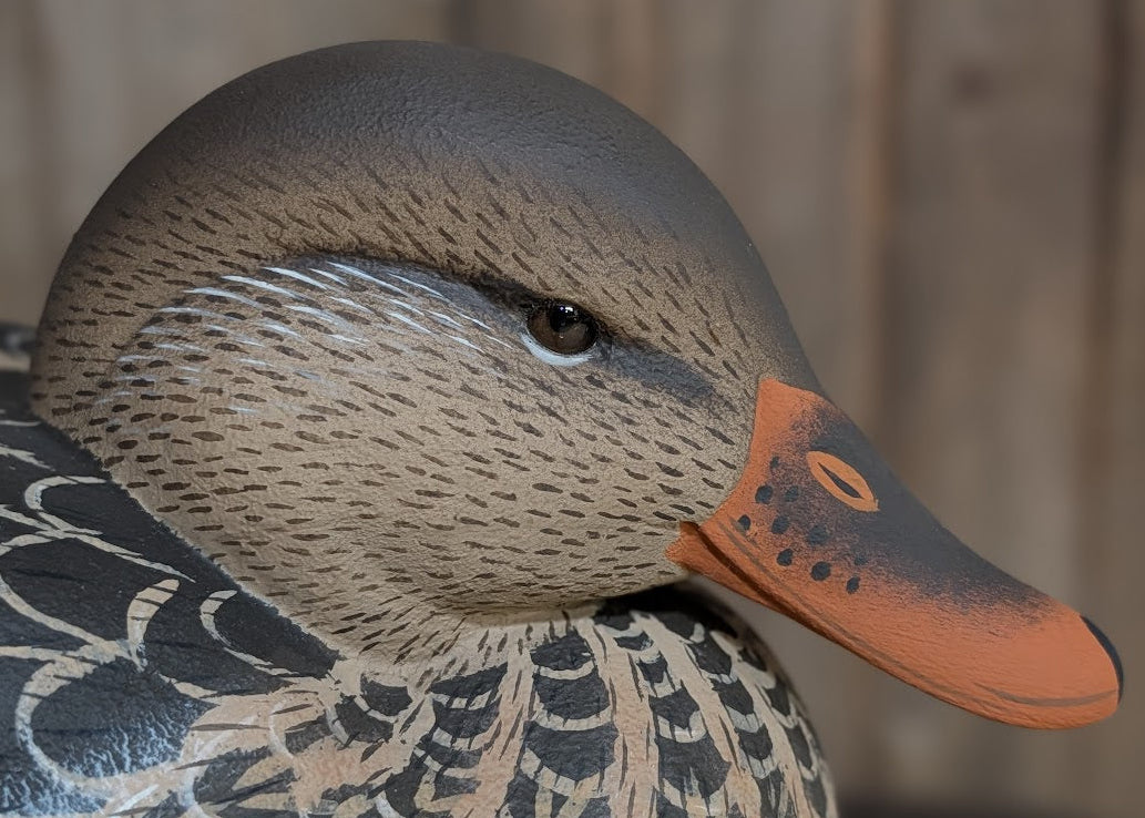 Brown Glass Eyes