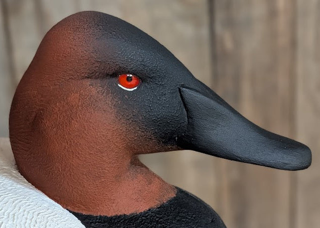 Red Glass Eyes