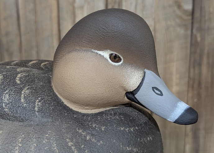Duck Decoy Carving Kits
