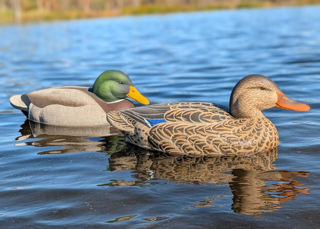 Duck Decoy Carving Kits