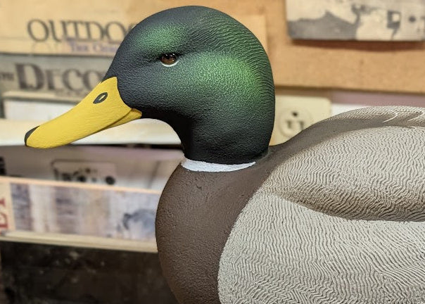 Duck Decoy Carving Kits