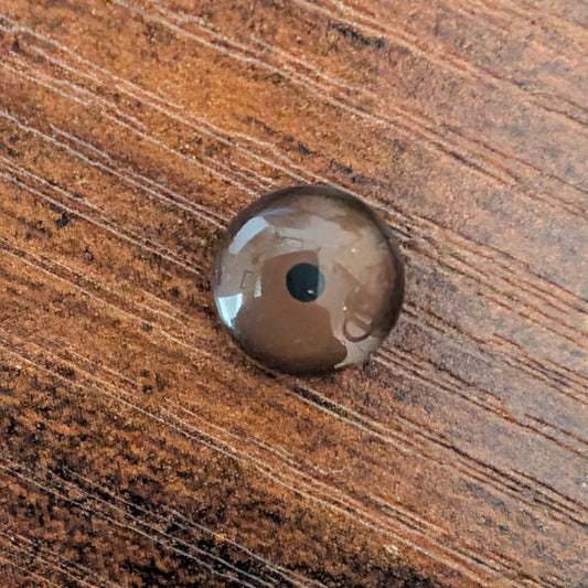 Brown Glass Eyes